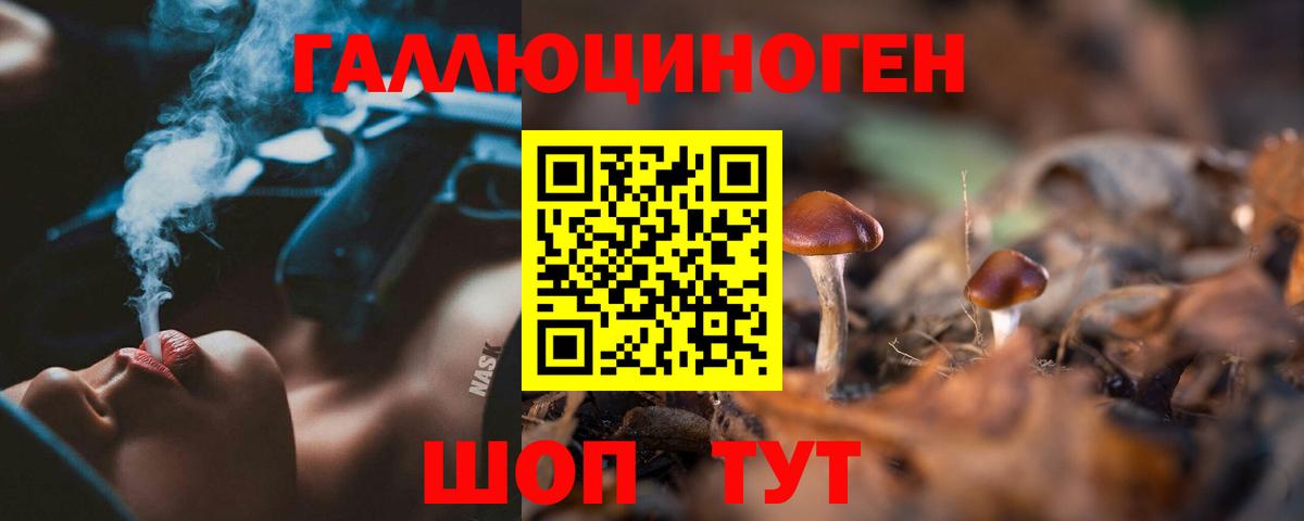 Краснокаменск  Псилоцибиновые грибы ЛСД  Вход с VPN 